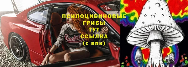 стафф Нефтегорск