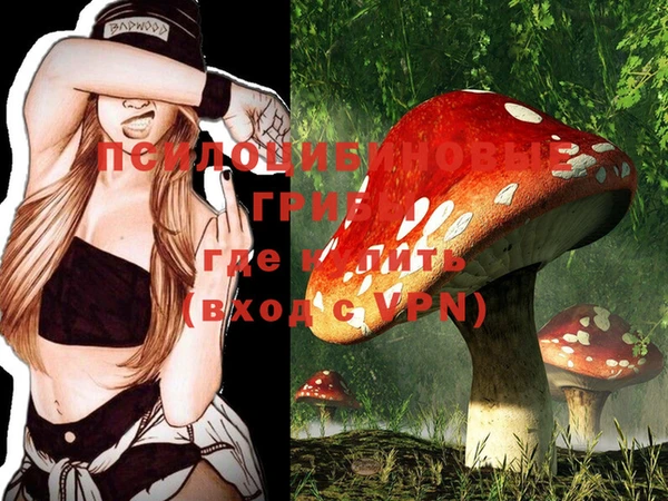 стафф Нефтегорск