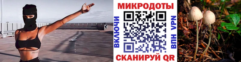 Псилоцибиновые грибы прущие грибы  Игарка 